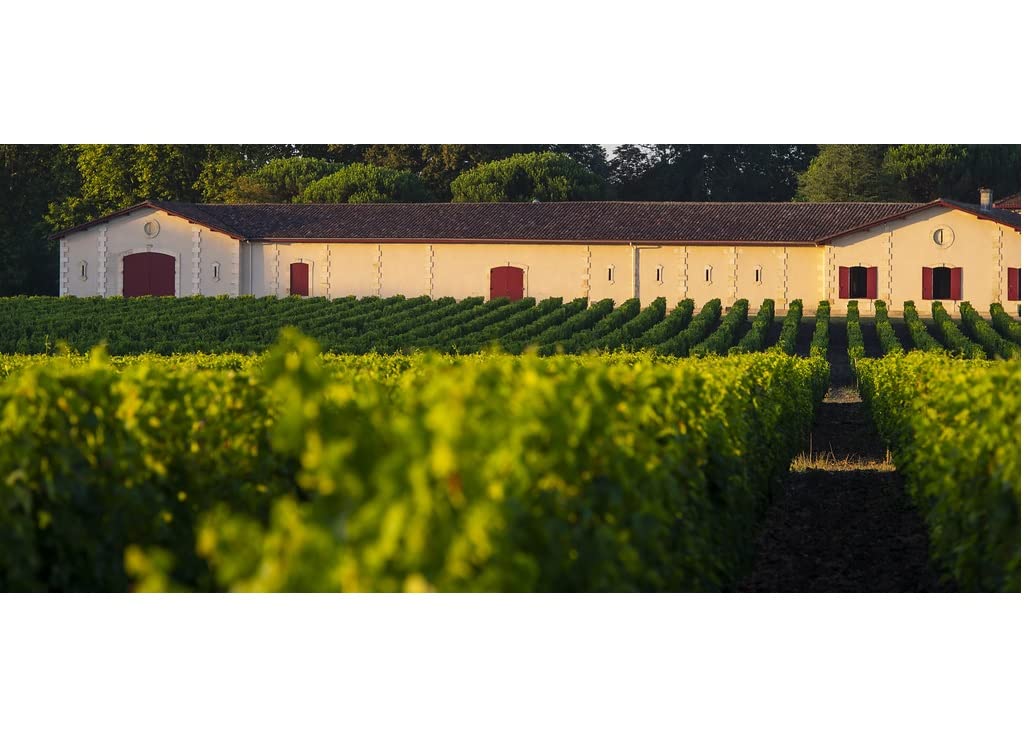 Colombier de Brown - AOP Pessac-Léognan - Vin Rouge - Millésime 2021-1 bouteille x 75cl