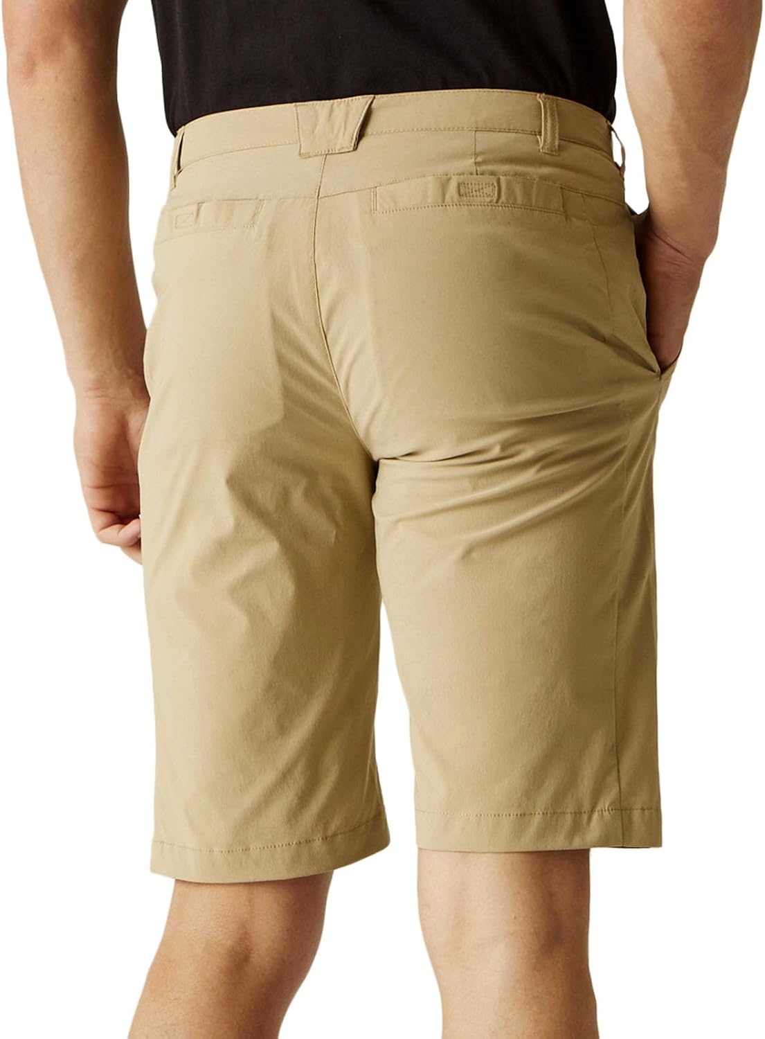 Regatta Mens Highton Walking Shorts