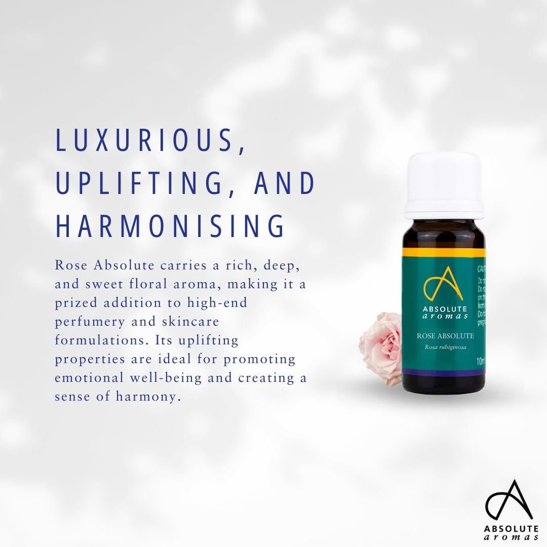Absolute Aromas Rose Absolutes ätherisches Öl 5 ml - 100% rein, natürlich, unverdünnt, vegan und frei von Tierversuchen - zur Verwendung in Diffusoren und Aromatherapie-Mischungen