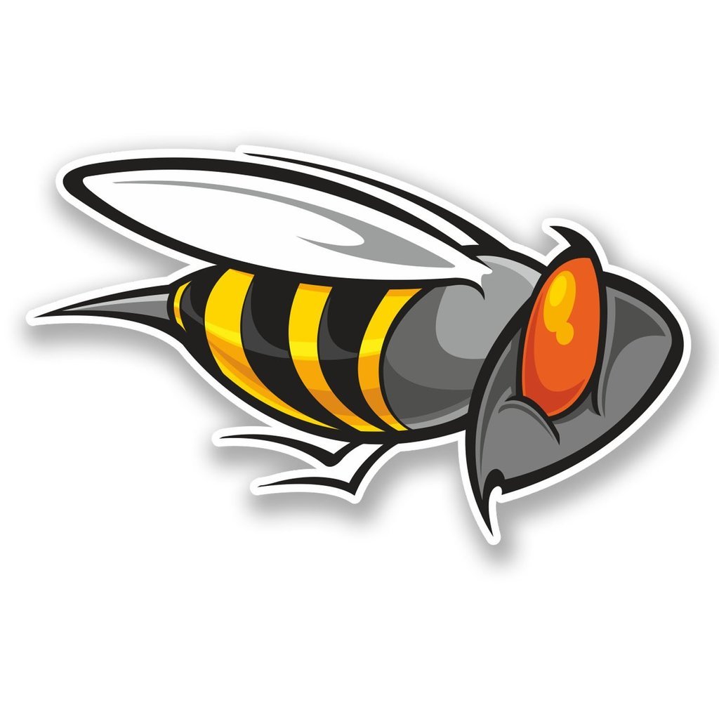 Destinationvinyl Multi 2 X 10Cm/100Mm Angry Wasp Bee Window Cling Sticker Car Van Campervan Glass #5646