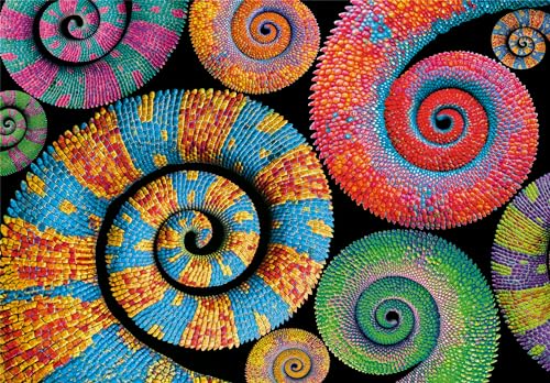 Clementoni Jigsaw Puzzle Colorboom Collection, Curly Tails 500 Pieces, Puzzle For Adults 14-99 Years, Gift For Men/Women - Image 2