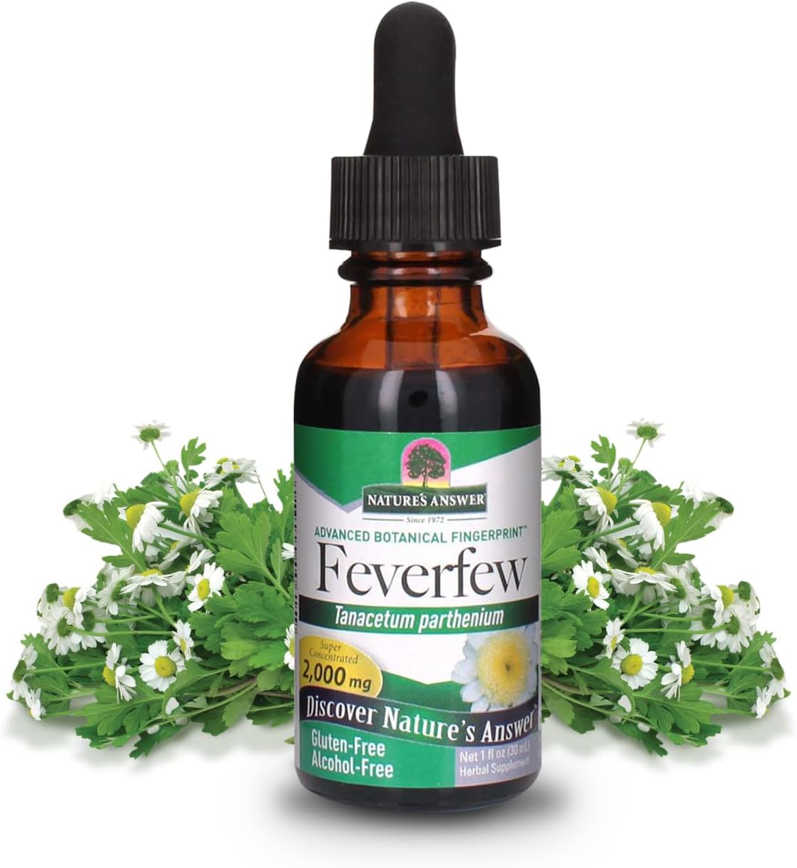 Feverfew Leaf Alcohol Free - 1 fl oz