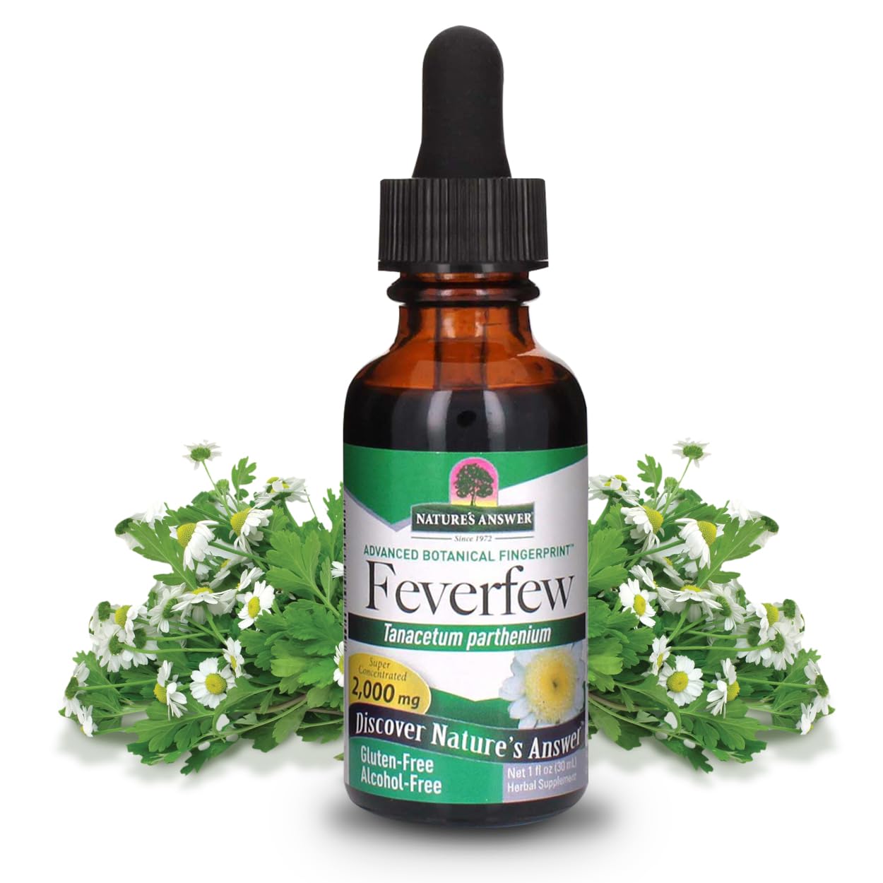 Nature's Answer Alcohol-Free Feverfew 2000mg 1oz Extract | Promotes Overall Well-Being | Source of Parthenolide | No Artificial Flavors or Preservatives | Single Count