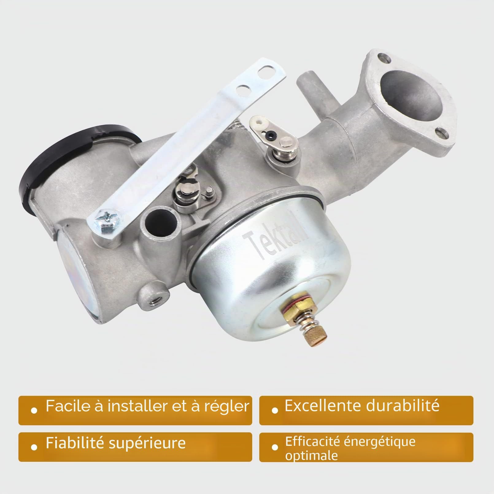 Carburateur avec joint de rechange pour Briggs & Stratton 252702 252707 253702 253706 491590 390811 392152