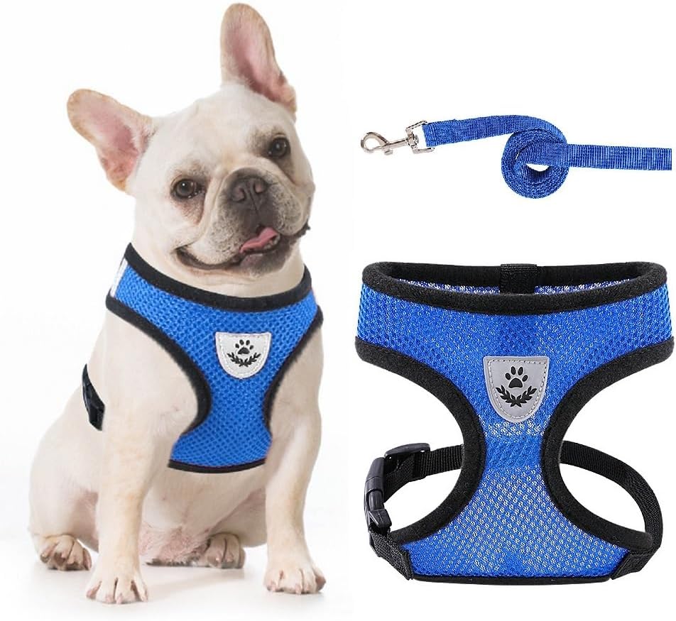 PACCOMFET Arnés de malla suave para perro con correa sin tirones, chaleco acolchado cómodo para mascotas pequeñas, gatos y cachorros, color negro, M