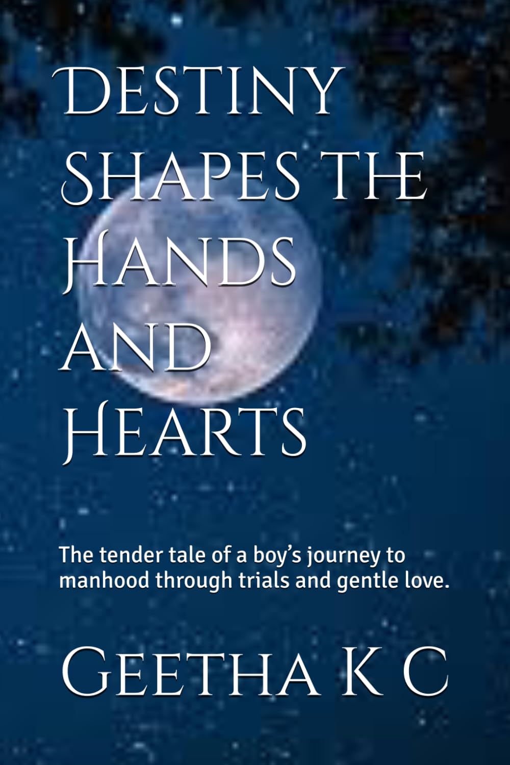 Destiny Shapes the Hands and Hearts: The tender tale of a boy’s journey to manhood through trials and gentle love.
