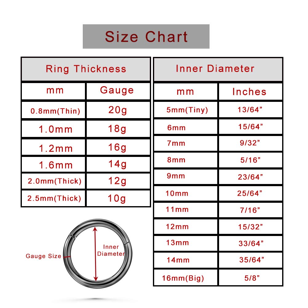 Feng Shui， 20G 18G 16G Klare CZ Nasenringe Hoop 316L Chirurgenstahl Knorpelohrringe Hoop 5-12mm Piercingschmuck Daith Helix Rook Tragus Piercingschmuck Edelstahlohrring Silber Conch Piercingschmuck