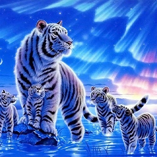 Twuky 5D DIY Diamant Set Diamant Plein Diamant Peinture Salon Mur Autocollants,tigre(12X12inch/30X30CM) Cover