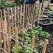 Aquagart Staketenzaun Höhen 50cm - 120cm hoch Lattenabstand 3-5cm Gartenzaun Kastanienzaun aus Haselnuss Langlebiger Holzzaun Zaun Rollzaun inkl. Krampen (Haselnuss 80cm, 5m)