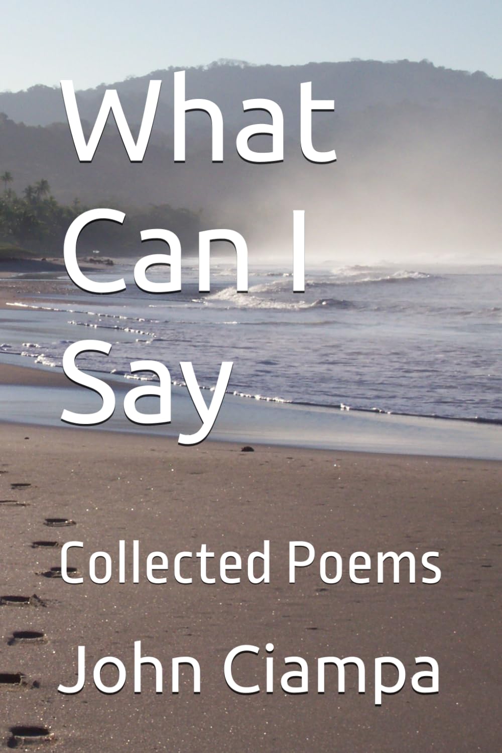 What Can I Say: Collected Poems