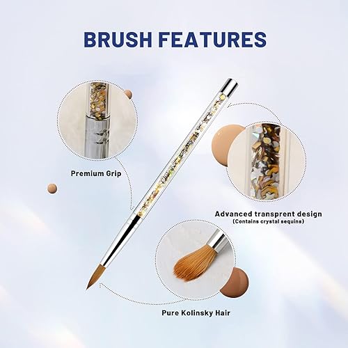 Miniatura 4 de Cepillo de uñas acrílicas para polvo acrílico, cepillo de uñas 10# para aplicación acrílica, 100% ovalado Kolinsky Sable Nail Art Brush con mango de