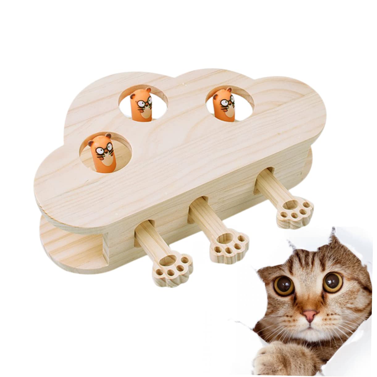 Holz Katzenspielzeug Mäusespielzeug Interaktiv Mit Katzenminze Spielerisch Haustier Katze