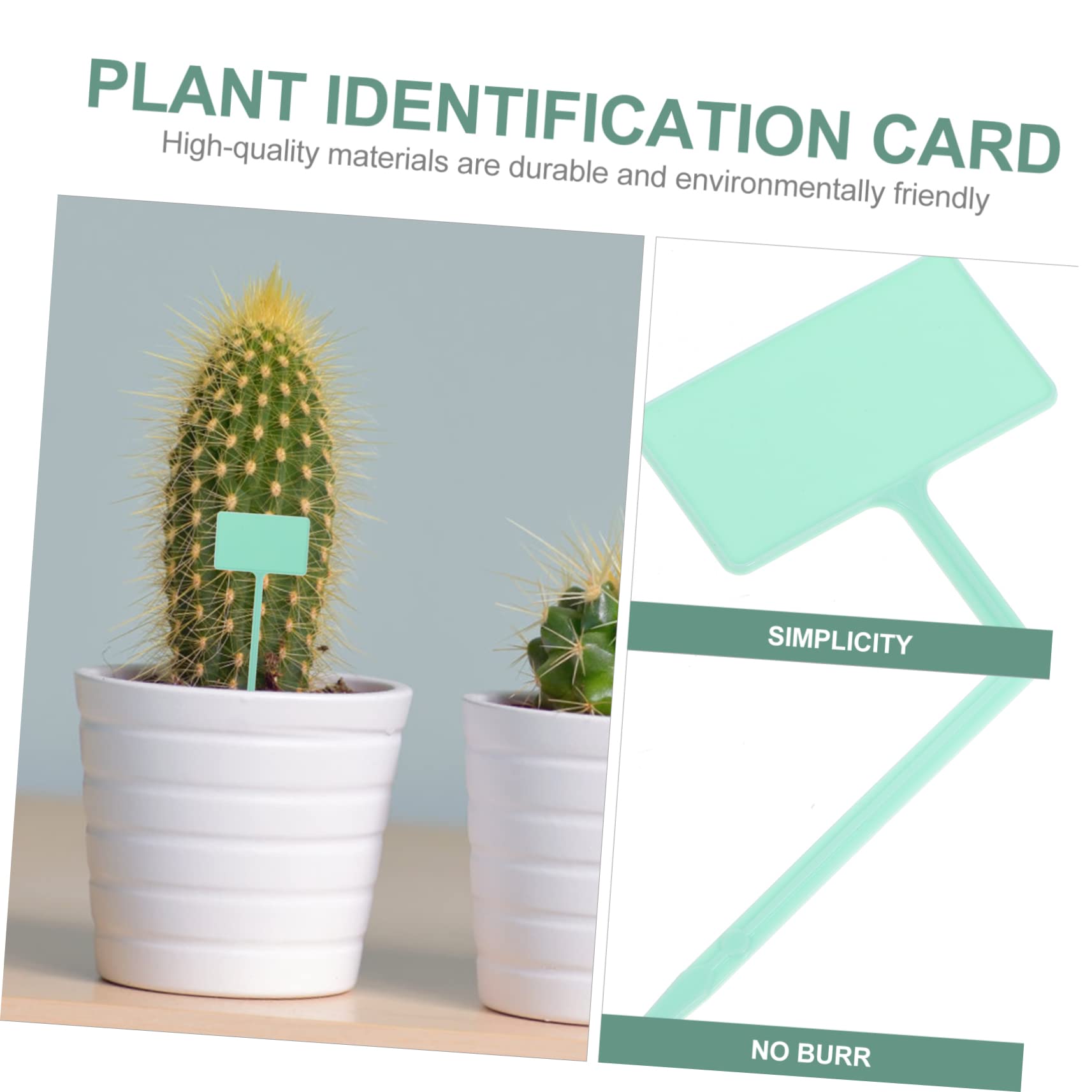 5 Set Etichette Per Piante Cartellini Per Giardinaggio Indicatori Naturali Per Piante Per Diy E Decorazioni Resistente E Facile 24 Pezzi * 5