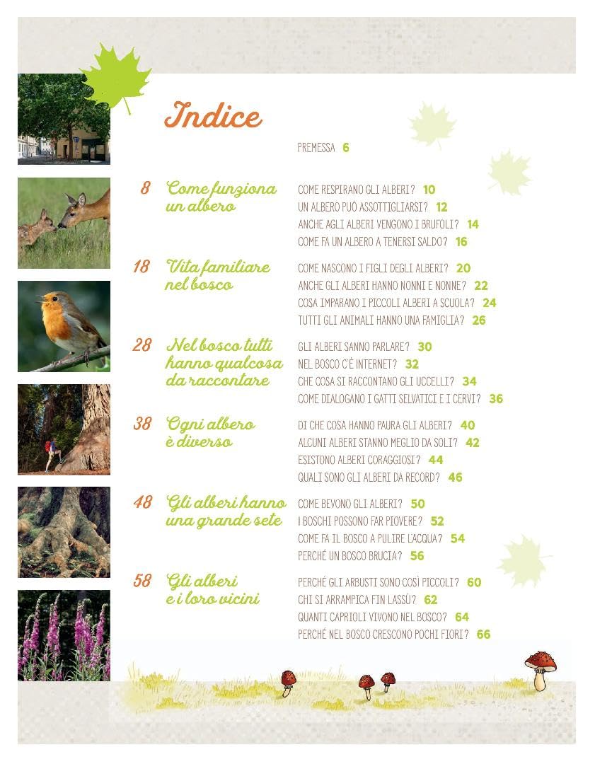 Ascolta la voce degli alberi. Ediz. speciale