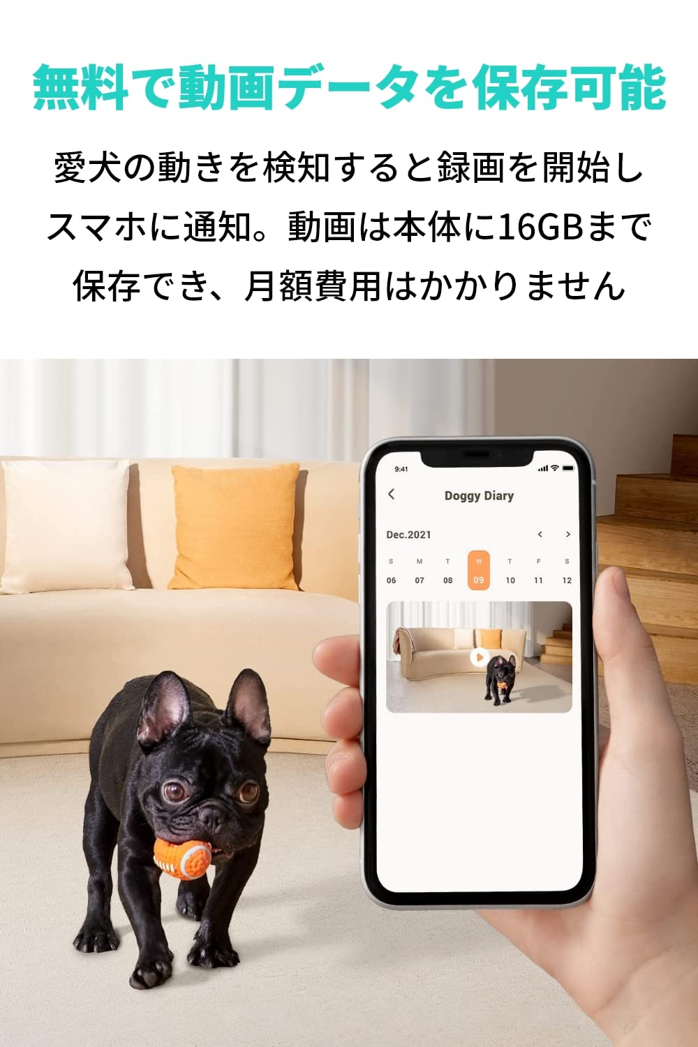Amazon | Anker Eufy Dog Camera D605（犬, 猫用自動給餌器）【ペット 