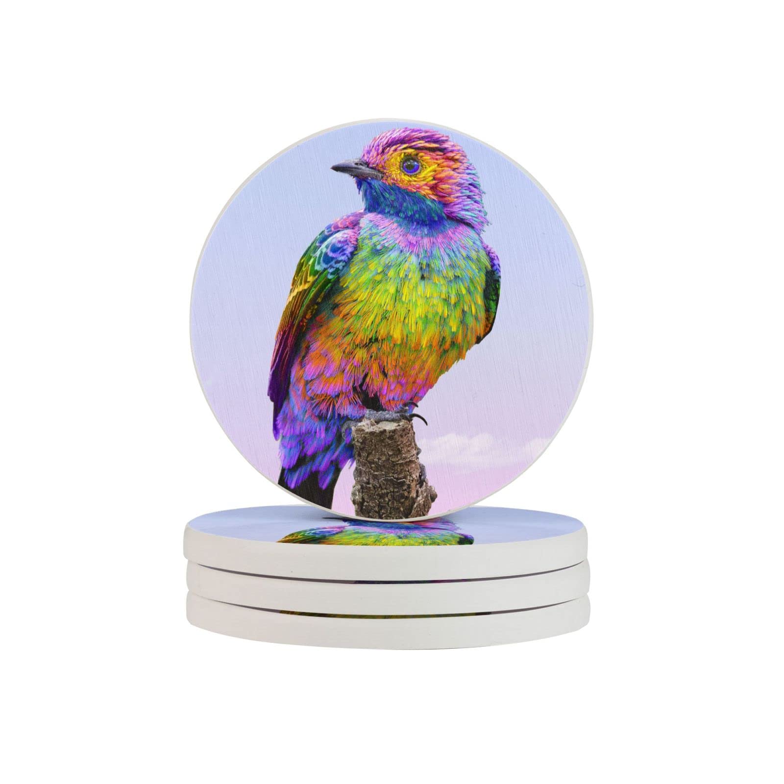 Sous-verres ronds en diatomite Coulful Bird de 10 cm pour la table lot de 2