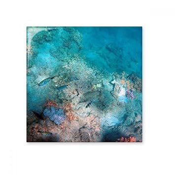 DIYthinker Ocean Colorful Fish Science Nature Picture Ceramic Bisque Tiles Bathroom Decor Kitchen Ceramic Tiles Wall Tiles Large Large Multi