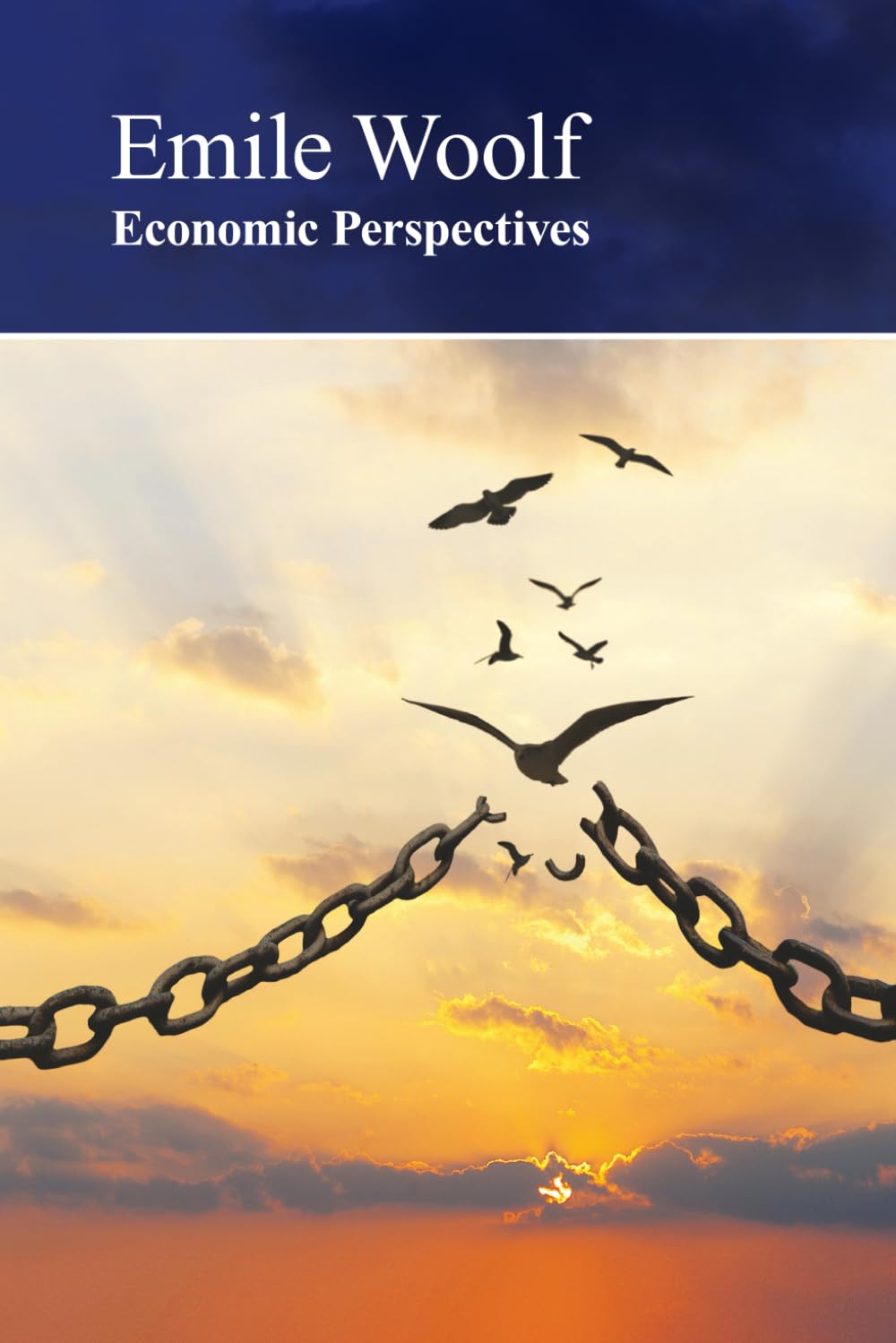 Economic Perspectives: How the state gets it wrong ... again and again!