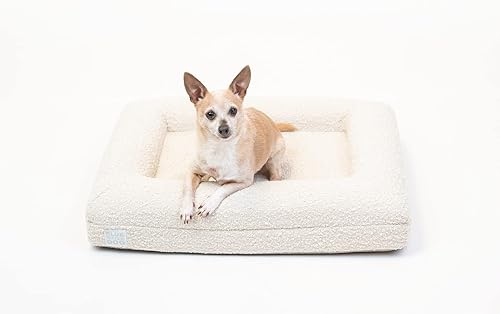 Miniatura 4 de Bluewater Dog Cama ortopédica de espuma viscoelástica con funda de tela Boucle lavable a máquina y forro impermeable (pequeña, nube)