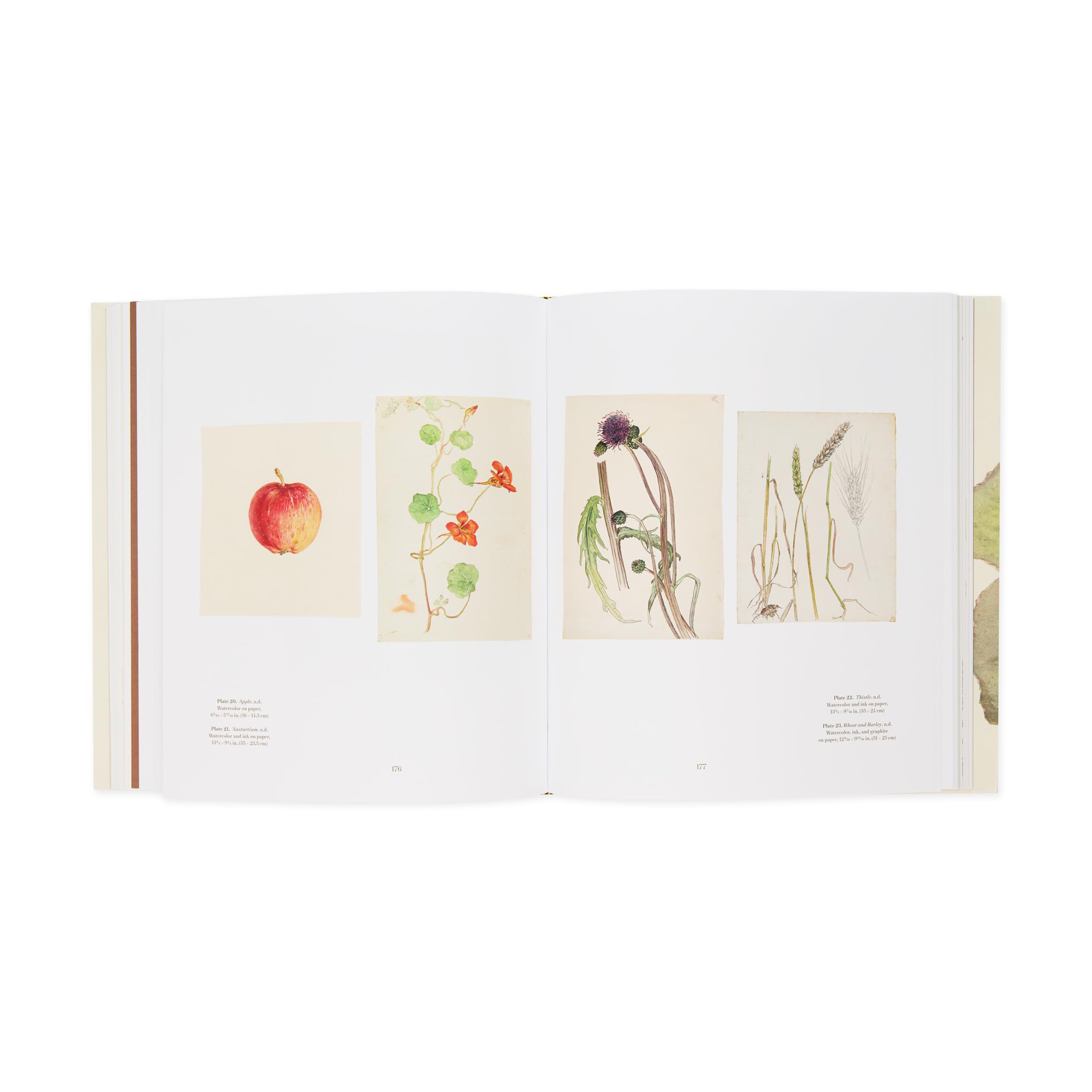 Hilma af Klint: What Stands Behind the Flowers