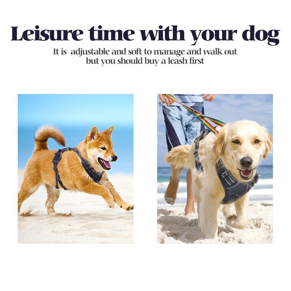 eagloo no pull dog harness