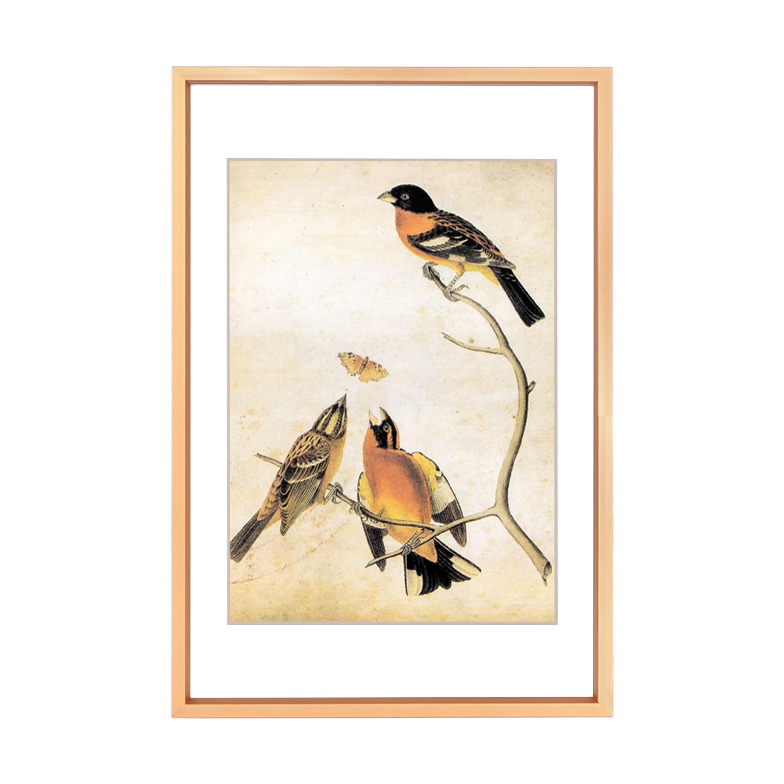 BKABOT 6x9 Picture Frame Gold Aluminum