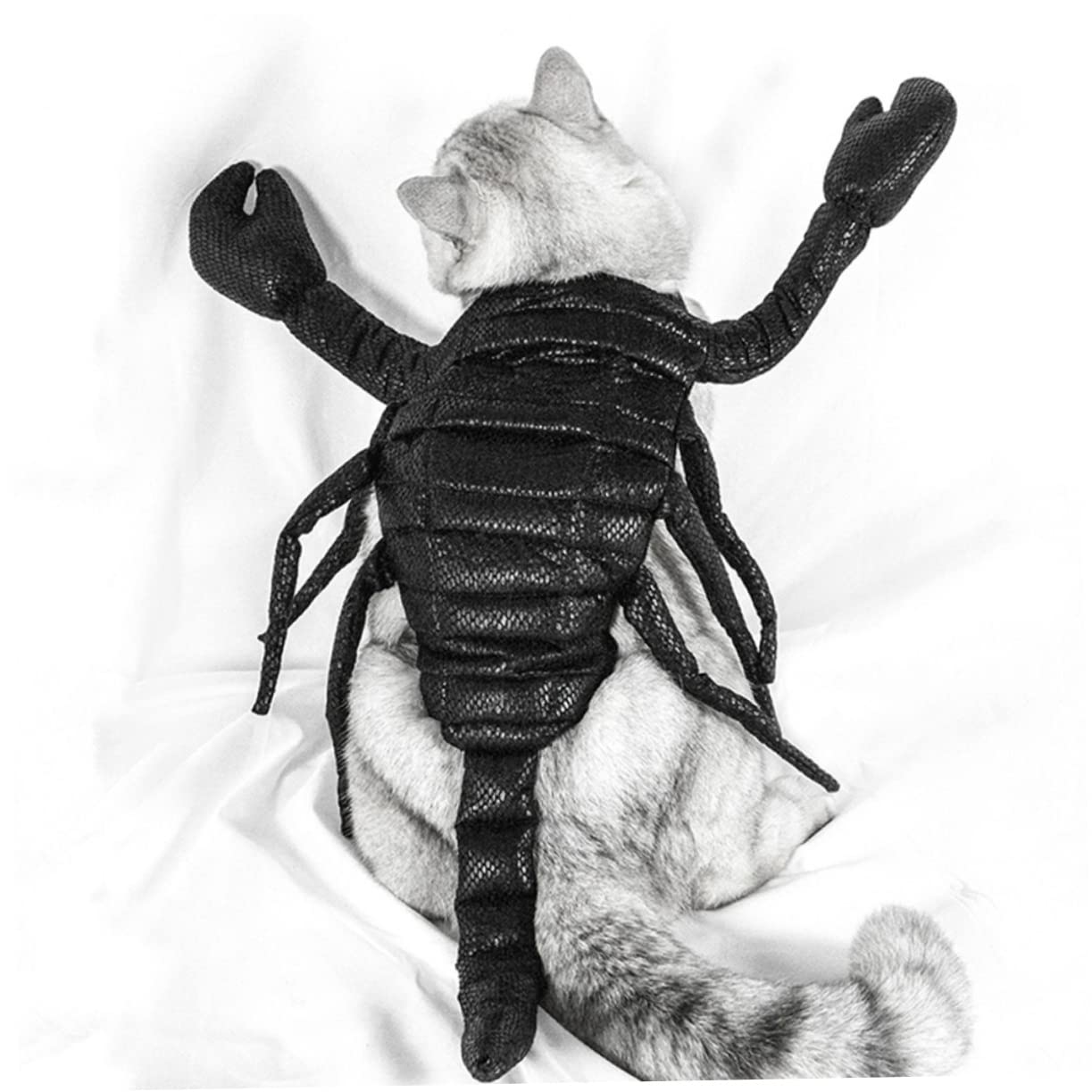 Decorazioni Natalizie,2 Pezzi Abbigliamento per Animali Domestici Felpa con Cappuccio per Cane Felpa con Cappuccio in Lana Vestiti per Gattini Costume per Animali Domesti