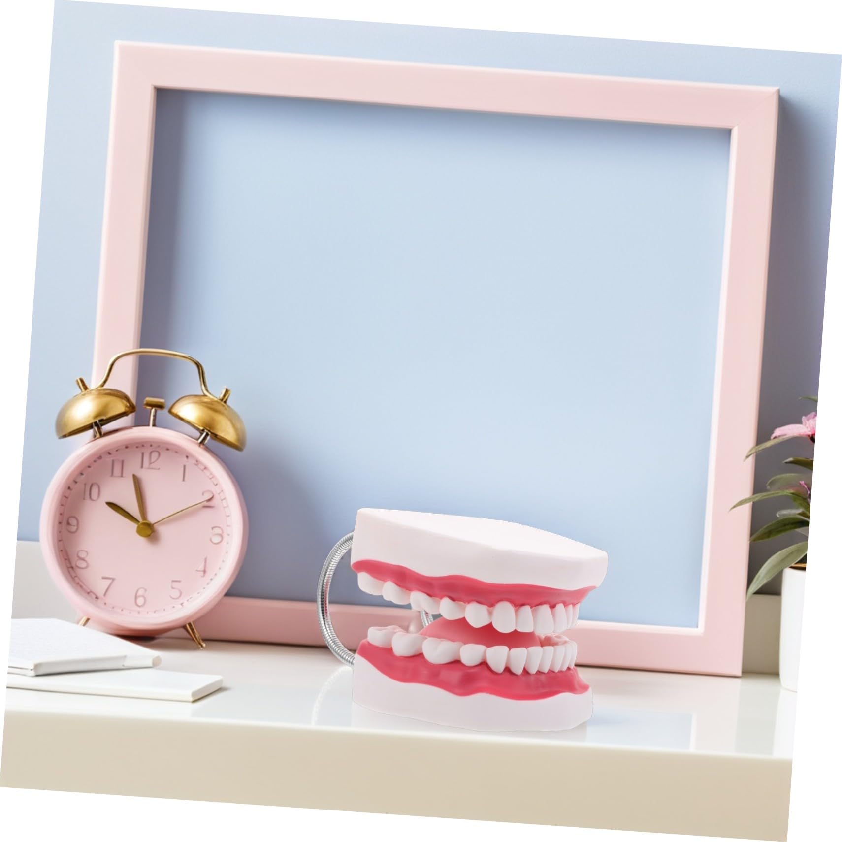 Modello Didattico Orale Modello Per Protesi Ortodontica Per Denti Educativi Per Denti