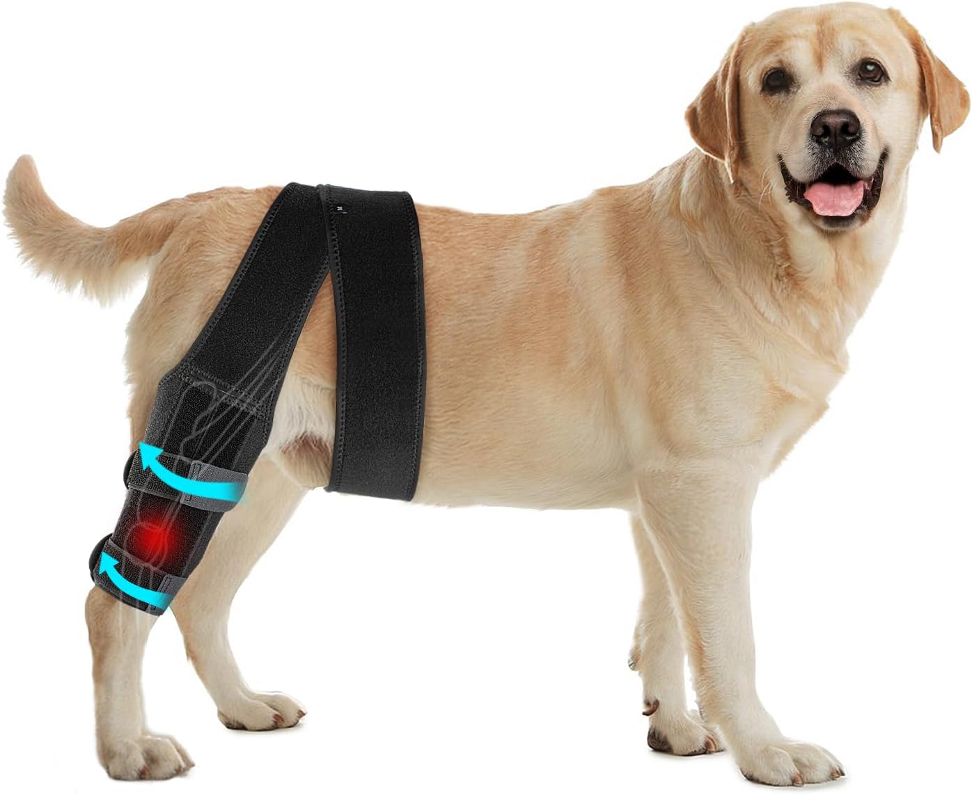 Xylitic Dog Knee Brace, Acl Knee Brace for Dogs Hind Leg with Cruciate