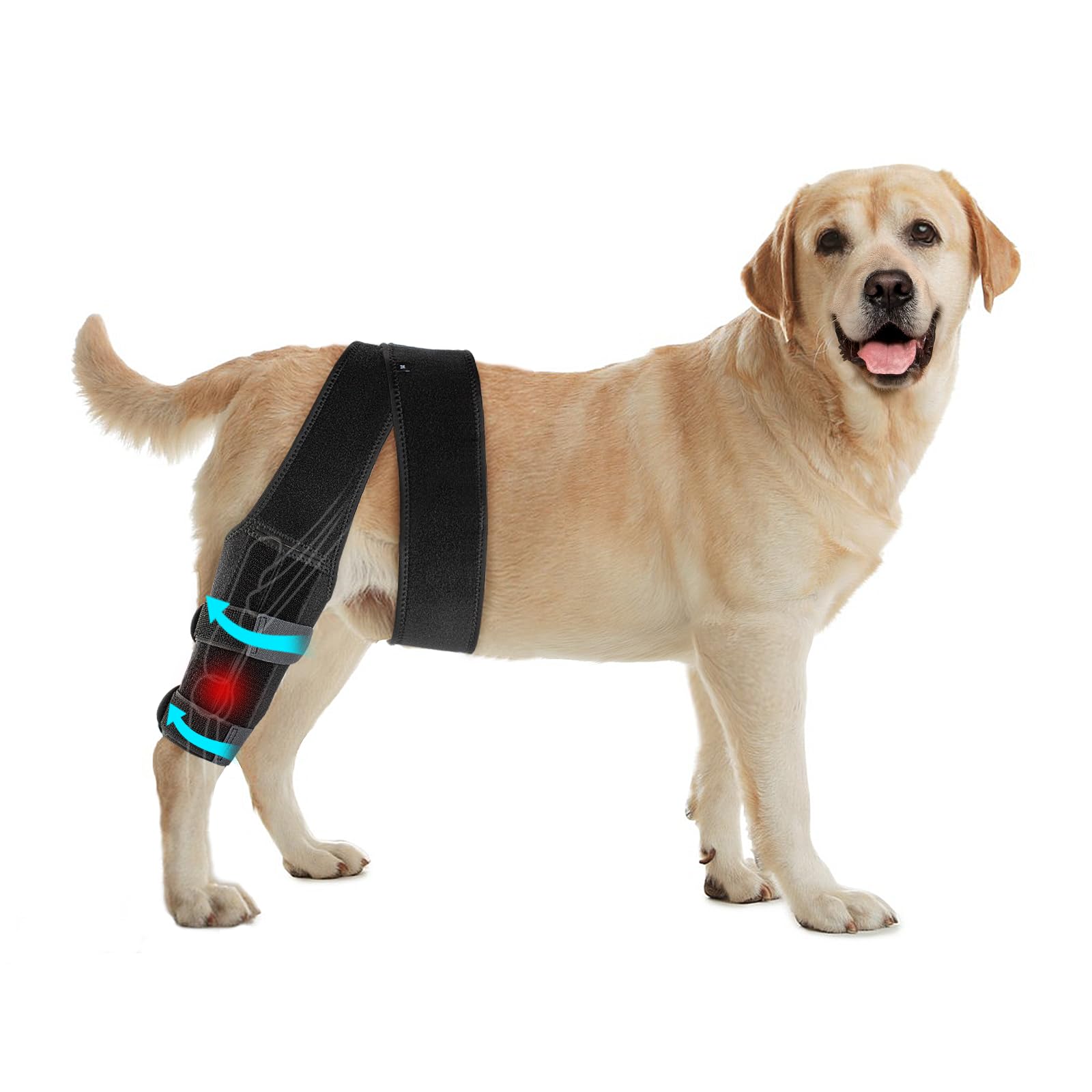 Buy Dog Knee Brace, Acl Knee Brace for Dogs Hind Leg with Cruciate