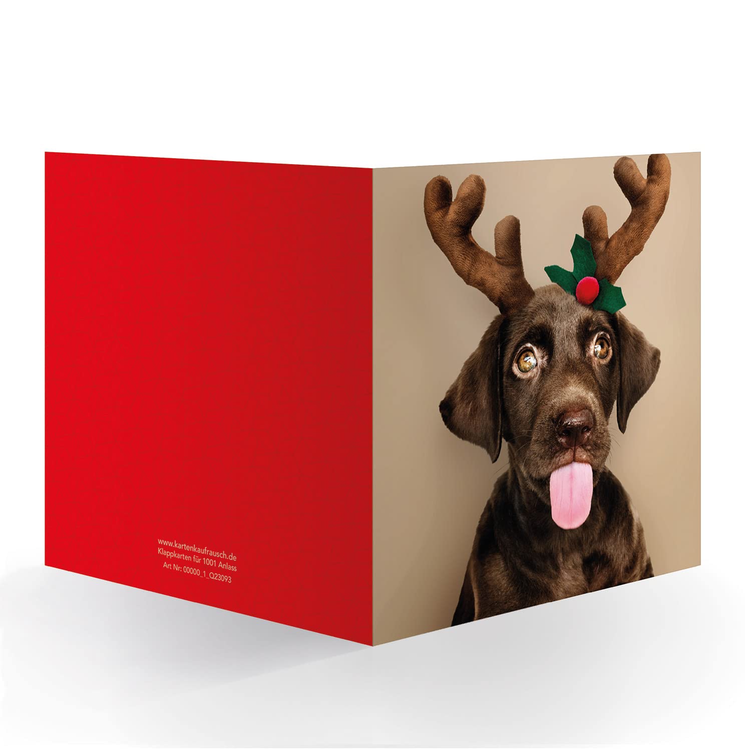 12x Süße Hunde Weihnachtskarte mit Labrador als Elch • quadratisch 15,5x15,5cm, innen weiß • XL Klappkarte mit Umschlag zum Weihnachtsfest für Lieblingsmenschen