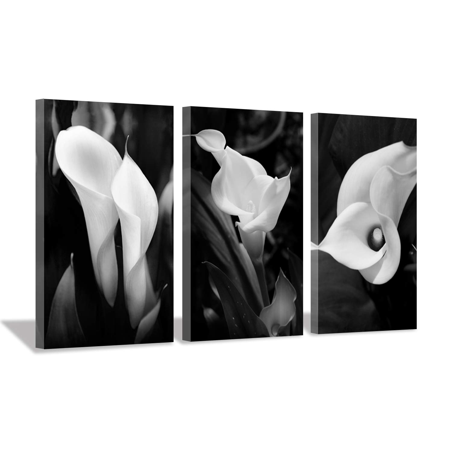 Hardy Gallery Floral Artwork Nature Flower Picture: Calla-Lily Print on Canvas Set for Wall Art (20 inch x 34 inch x 3 Panels)