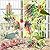 BBjinronjy Bird Toys Parakeet Toy Chewing Shredding Foraging Toys Hanging Toy Bird Shredded Paper Bird Cage Accessories Bird Rope Perch for Conure Cockatiel Budgies Lovebird Parrot