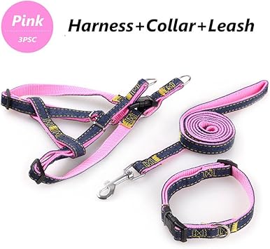 leash collar harness set