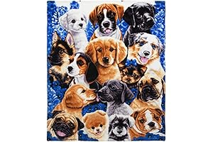 Dawhud Direct: The Ultimate Comfort for Animal Lovers