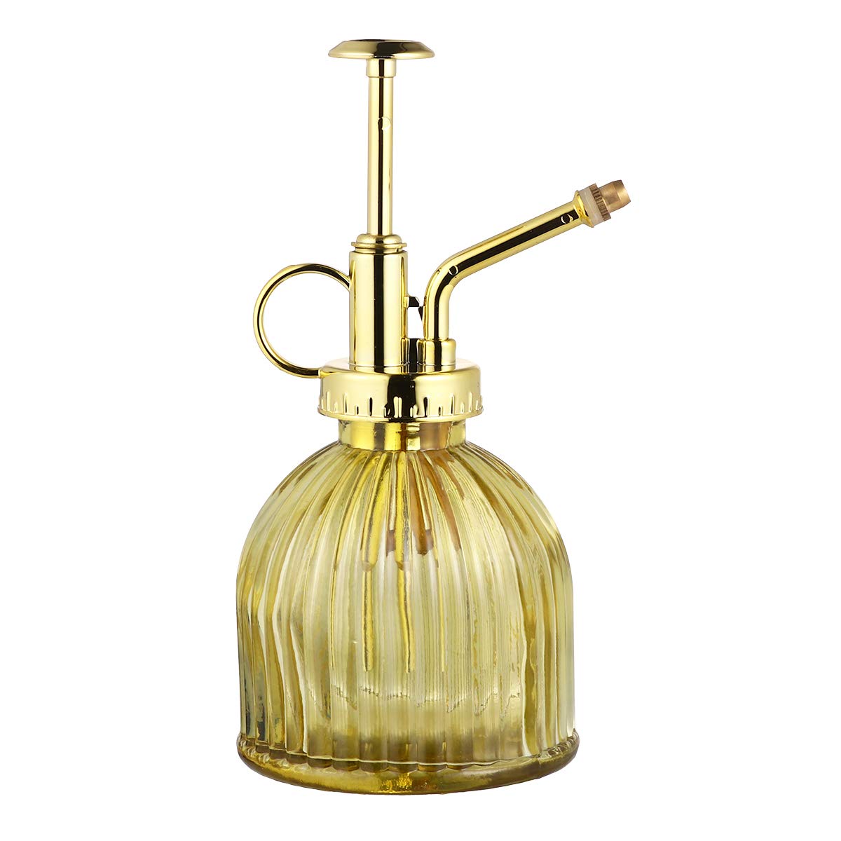 Arrosoir pour plantes d'intérieur et fleurs de jardin avec pompe à brouillard 1pc