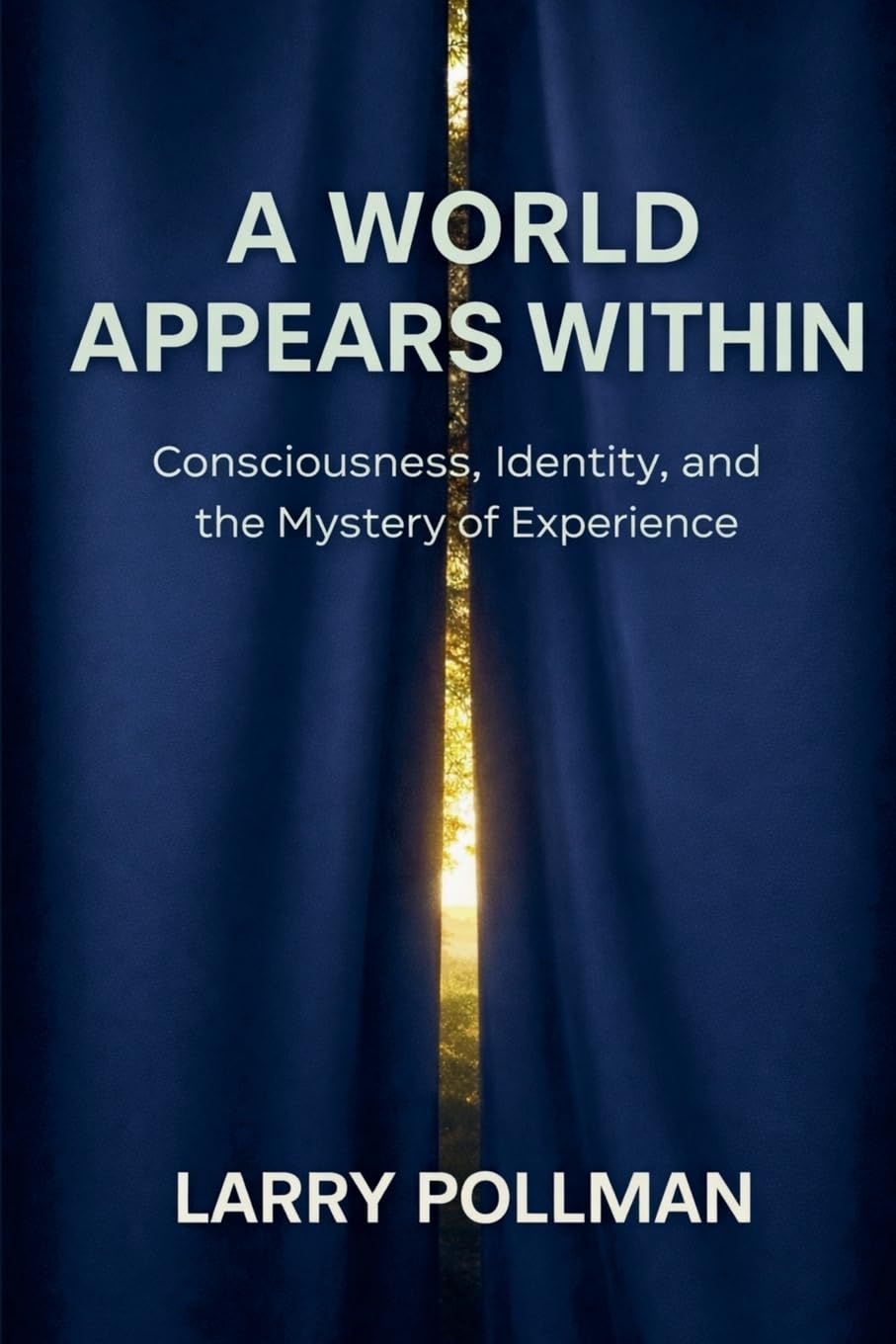 A World Appears Within: Consciousness, Identity, and the Mystery of Experience
