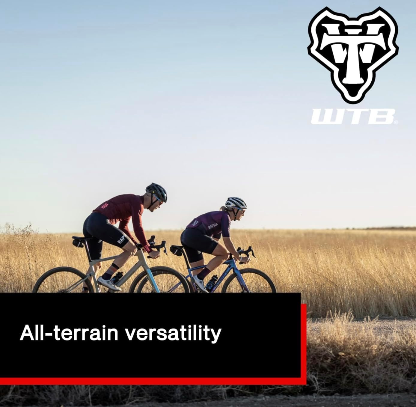 WTB Vulpine Gravel Bike Tire (700 x 36) Tubeless Folding, Light & Fast Rolling (Black)