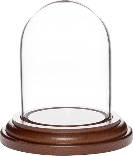 Miniatura 3 de Plymor Mini campana de cristal en forma de domo para exhibición, de 1.85 x 2.875 pulgadas