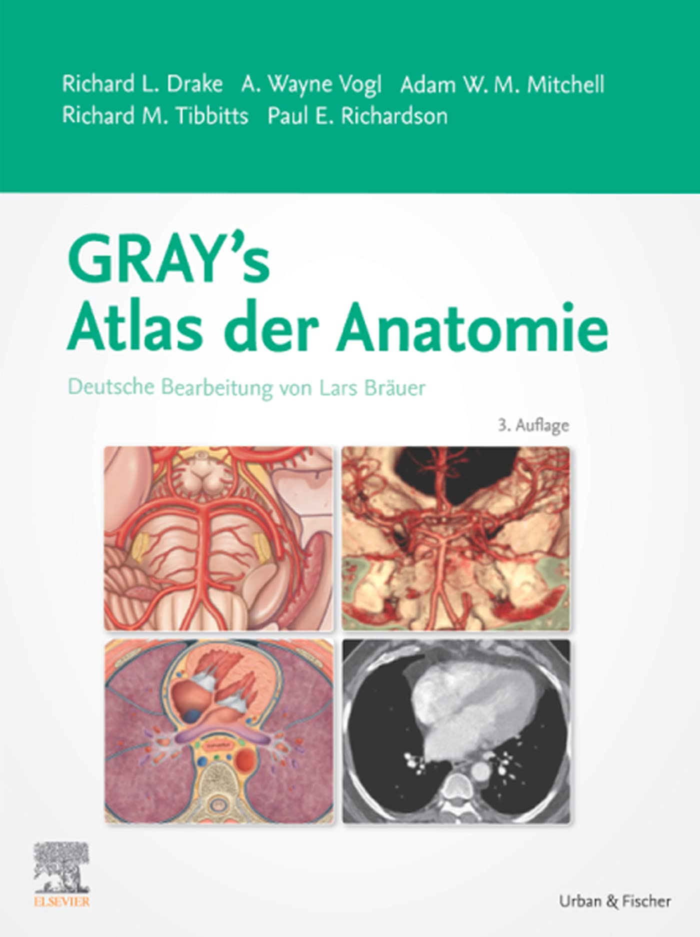 Gray's Atlas der Anatomie: Deutsche Bearbeitung von Lars Bräuer (VORKLINIK - Lehrbuch - Urban & Fischer-Verlag)
