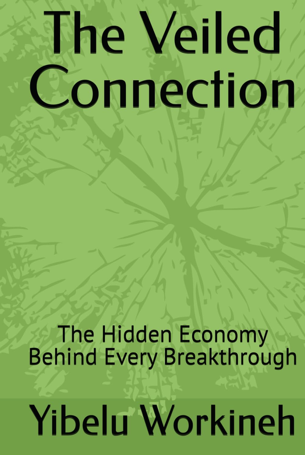 The Veiled Connection: The Hidden Economy Behind Every Breakthrough