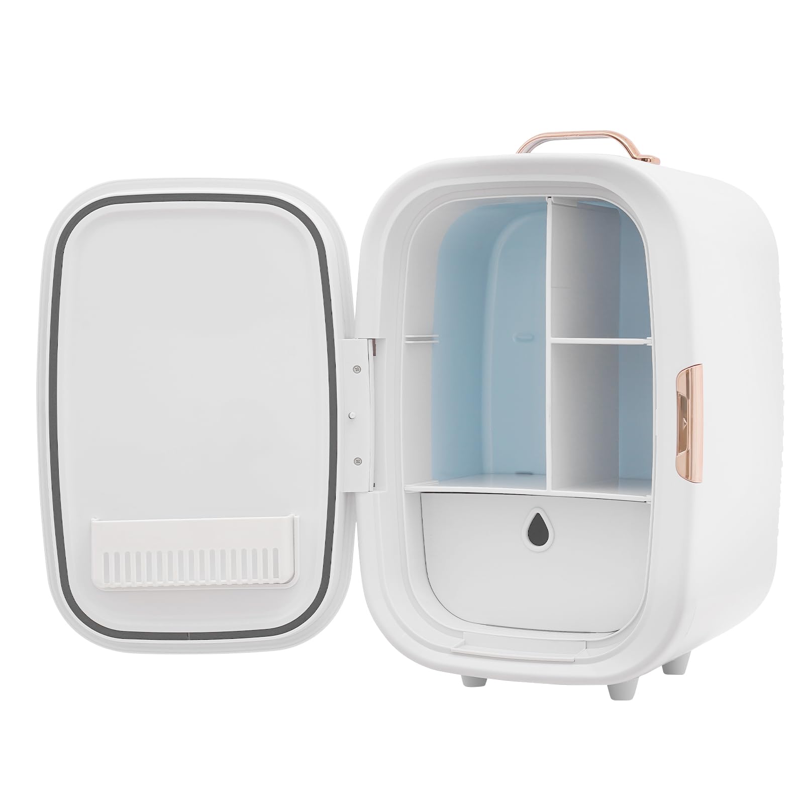 Amazon.com: Skincare Fridge, 12L Portable Beauty Fridge for