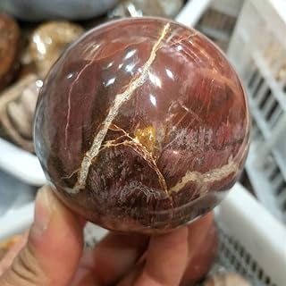 Specimen Mineral Natural Petrified Wood Fossil Ball Polished Specimen Healing Stone