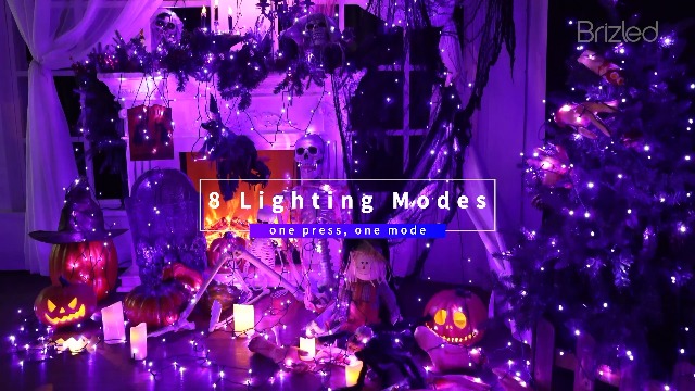 Brizled Purple Lights, 78.74ft 240 LED Halloween Lights
