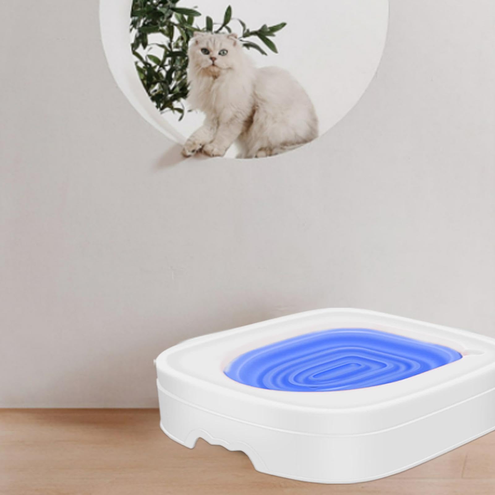 Katzentoilette – Katzentoilette mit großer Kapazität, Katzentoilette | Töpfchentrainer für Katzen, Katzentraining, Katzentraining, Katzentoilette verwendet Katzenzubehör von to to