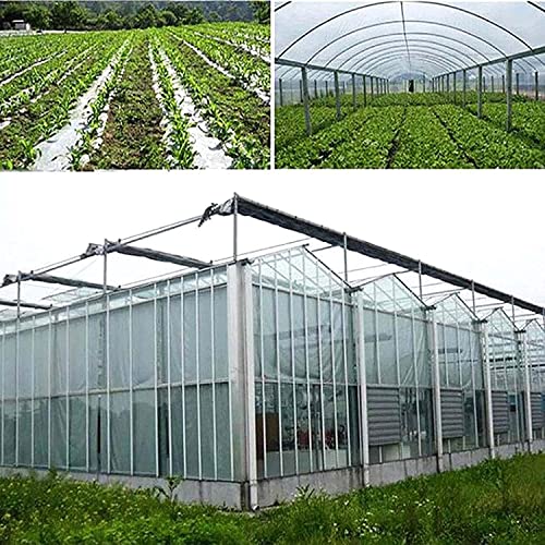 Lonas transparentes con ojales multiusos para techos y terrazas resistentes al sol 8