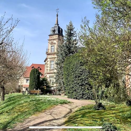 2024年 6月24日 第二十六周