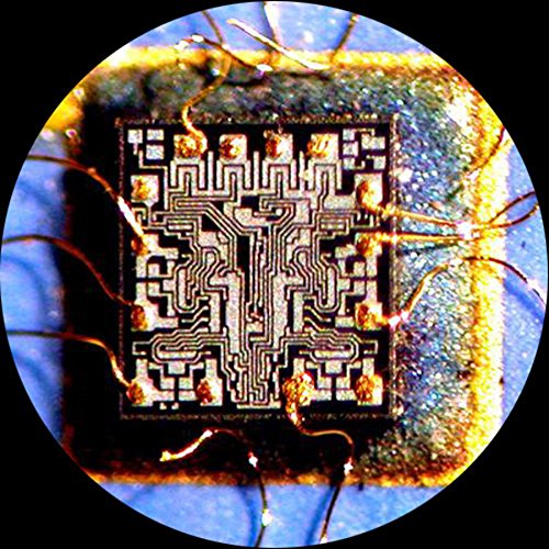 AmScope SM-7BX-FRL Professional Binocular Stereo Zoom Microscope, WH10x Eyepieces, 3 - View #6