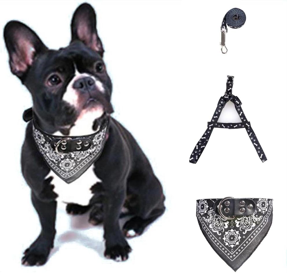 Kwan Dog Cat Small Puppy Harness Collar Leash Traction Kit Bandana Scarf Leather Collar Set