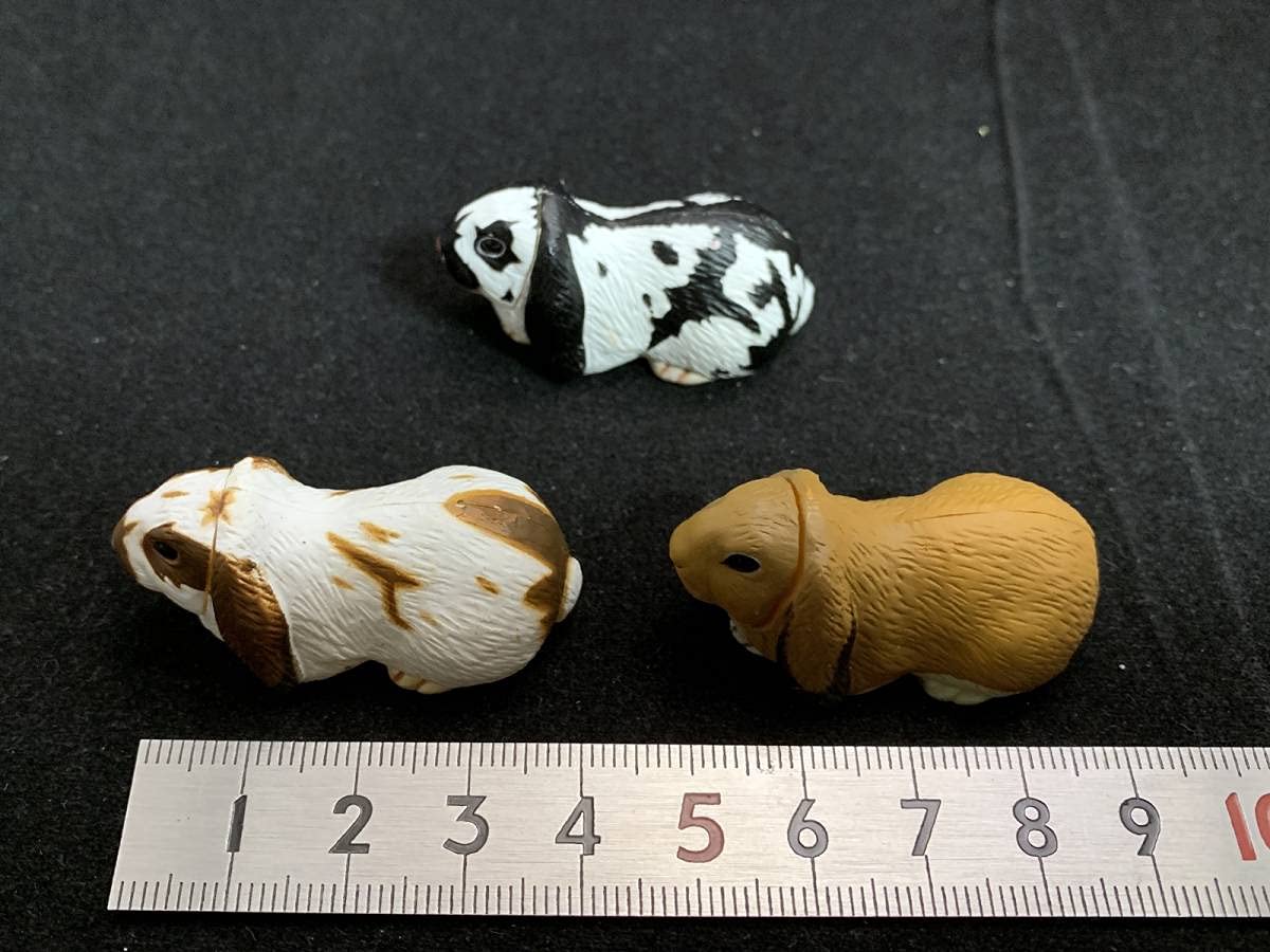 フルタ製菓 - f⚠️要コメント‼︎チョコエッグフルタ　ペット動物コレクション第２段 楽天市場】【正規品】 チョコエッグ ペット動物コレクション 第2